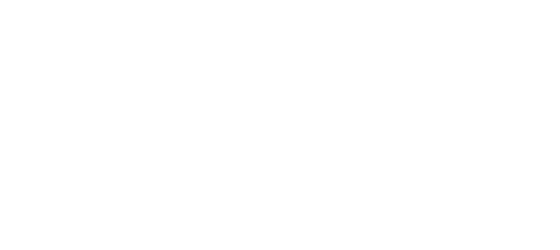 The Factotum