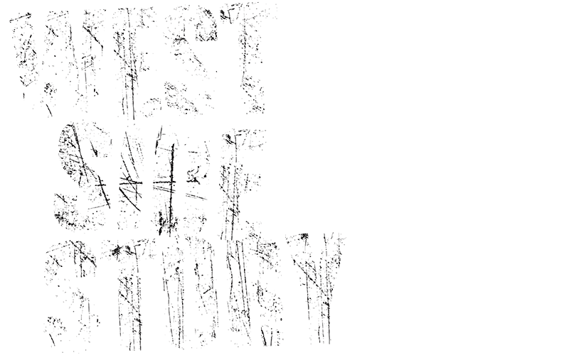 West Side Story Lyric Opera Of Chicago